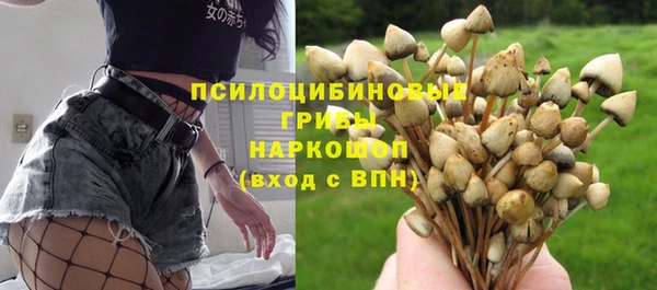скорость Няндома