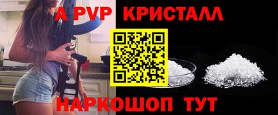 ECSTASY Донской