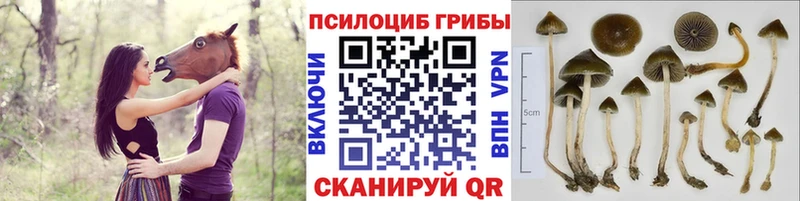 Галлюциногенные грибы мицелий  Искитим 