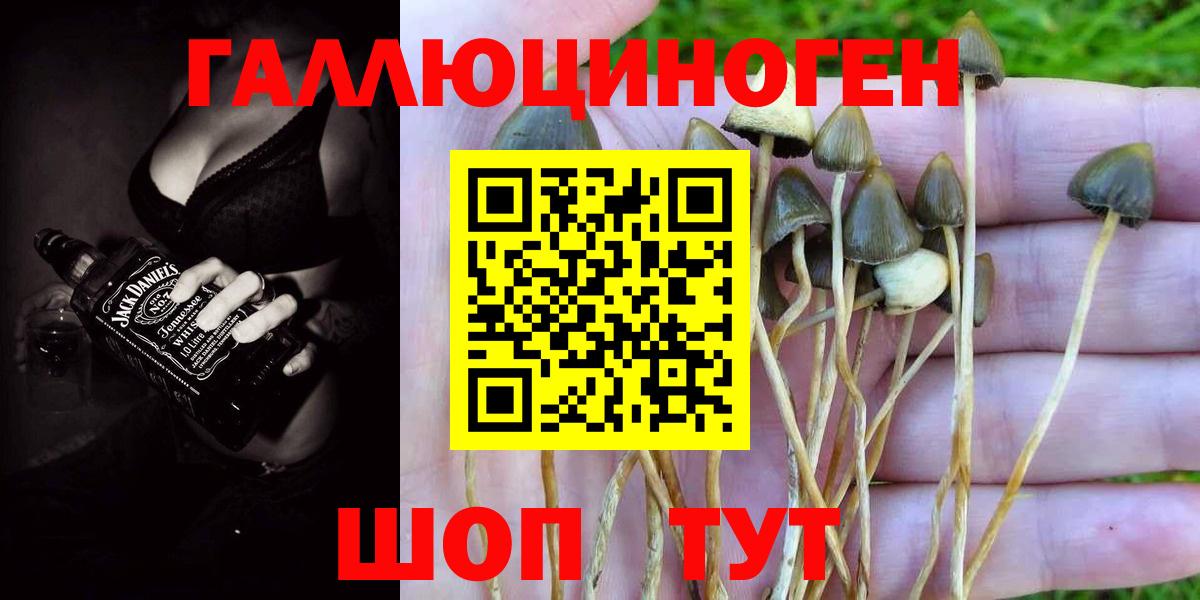 Псилоцибиновые грибы прущие грибы  Вход с VPN  Искитим 